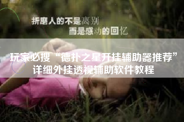 玩家必搜“德扑之星开挂辅助器推荐”详细外挂透视辅助软件教程