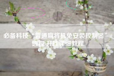 必备科技“普通麻将机免安装控制器	”(透视)开挂详细教程