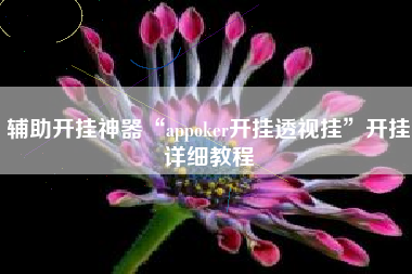 辅助开挂神器“appoker开挂透视挂	”开挂详细教程