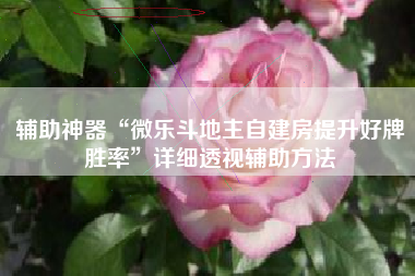 辅助神器“微乐斗地主自建房提升好牌胜率”详细透视辅助方法