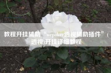 教程开挂辅助“wepoker透视辅助插件	”(透视)开挂详细教程