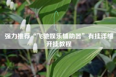 强力推荐“飞驰娱乐辅助器	”有挂详细开挂教程