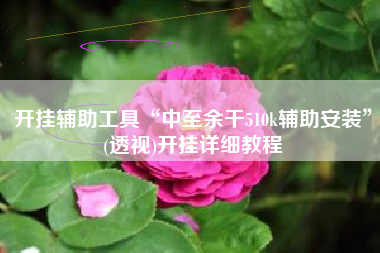 开挂辅助工具“中至余干510k辅助安装”(透视)开挂详细教程