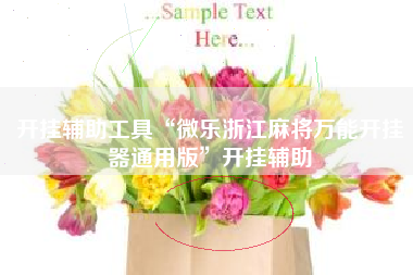 开挂辅助工具“微乐浙江麻将万能开挂器通用版	”开挂辅助