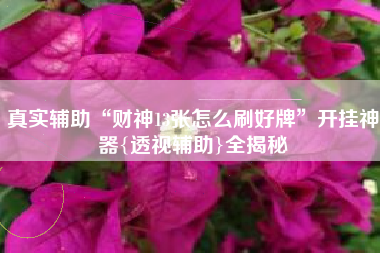 真实辅助“财神13张怎么刷好牌”开挂神器{透视辅助}全揭秘