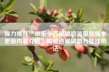 强力推荐“微乐卡五星辅助器最新版本更新内容介绍	”揭秘透视辅助万能挂用法