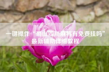 一键操作“蜀山四川麻将有免费挂吗”最新辅助详细教程