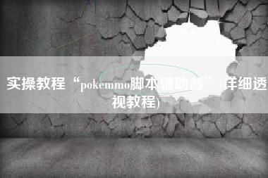 实操教程“pokemmo脚本辅助器”(详细透视教程)