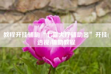 教程开挂辅助“七喜大厅辅助器	”开挂(透视)辅助教程