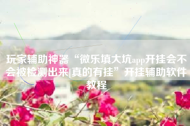 玩家辅助神器“微乐填大坑app开挂会不会被检测出来[真的有挂”开挂辅助软件教程