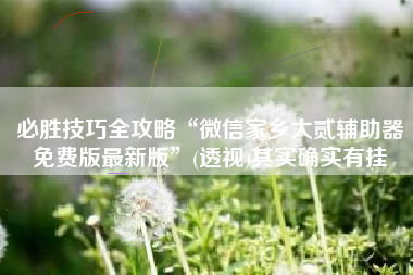 必胜技巧全攻略“微信家乡大贰辅助器免费版最新版”(透视)其实确实有挂