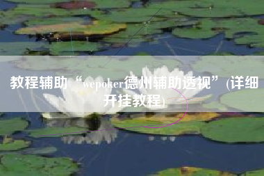 教程辅助“wepoker德州辅助透视	”(详细开挂教程)