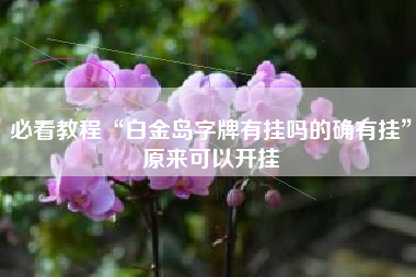 必看教程“白金岛字牌有挂吗的确有挂	”原来可以开挂