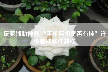 玩家辅助神器:“手机麻将是否有挂	”详细辅助软件教程