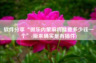 软件分享“微乐内蒙麻将挂要多少钱一个	”(原来确实是有插件)