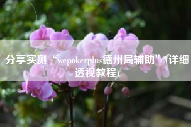 分享实测“wepokerplus德州局辅助	”(详细透视教程)
