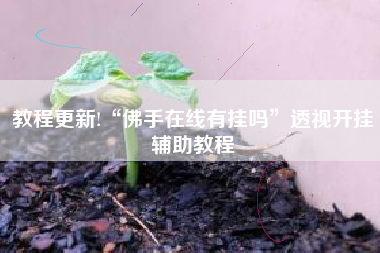 教程更新!“佛手在线有挂吗”透视开挂辅助教程