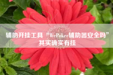 辅助开挂工具“WePoker辅助器安全吗	”其实确实有挂