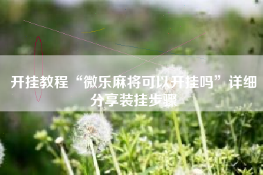 开挂教程“微乐麻将可以开挂吗”详细分享装挂步骤