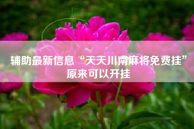 辅助最新信息“天天川南麻将免费挂”原来可以开挂