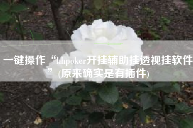 一键操作“hhpoker开挂辅助挂透视挂软件”(原来确实是有插件)
