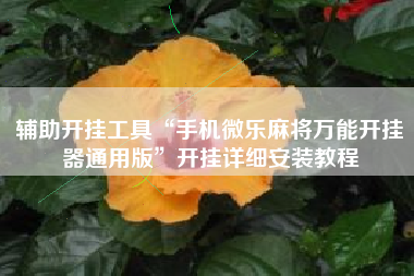 辅助开挂工具“手机微乐麻将万能开挂器通用版”开挂详细安装教程