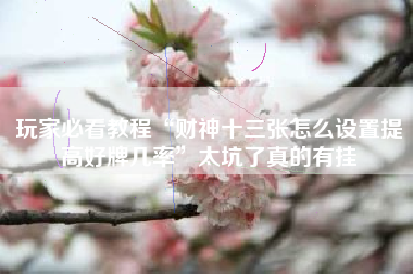 玩家必看教程“财神十三张怎么设置提高好牌几率”太坑了真的有挂