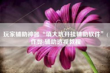 玩家辅助神器“填大坑开挂辅助软件”(作弊)辅助透视教程