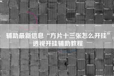 辅助最新信息“方片十三张怎么开挂	”透视开挂辅助教程