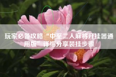 玩家必备攻略“中至二人麻将开挂器通用版”详细分享装挂步骤