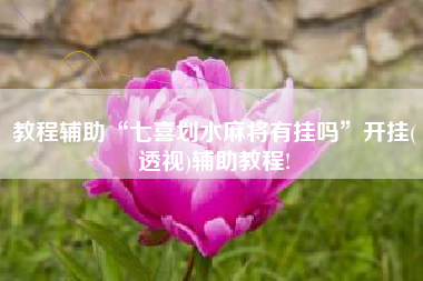 教程辅助“七喜划水麻将有挂吗”开挂(透视)辅助教程!