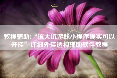 教程辅助!“填大坑游戏小程序确实可以开挂”详细外挂透视辅助软件教程