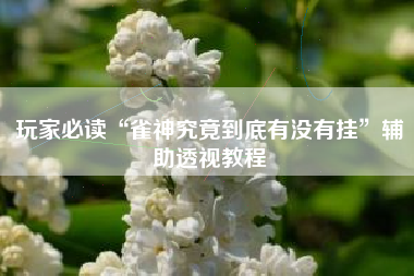 玩家必读“雀神究竟到底有没有挂”辅助透视教程