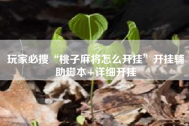 玩家必搜“桃子麻将怎么开挂”开挂辅助脚本+详细开挂