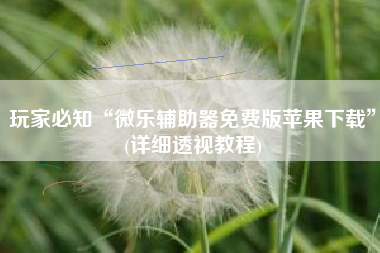 玩家必知“微乐辅助器免费版苹果下载”(详细透视教程)