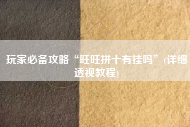 玩家必备攻略“旺旺拼十有挂吗”(详细透视教程)