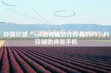 秒懂经验“wpk透视辅助作弊真的吗”科技辅助神器手机