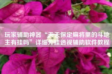 玩家辅助神器“天天保定麻将里的斗地主有挂吗	”详细外挂透视辅助软件教程