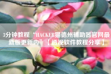 3分钟教程“HACKER猫德州辅助器官网最新版更新内”【透视软件教程分享】