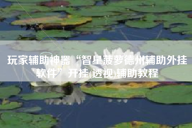 玩家辅助神器“智星菠萝德州辅助外挂软件	”开挂(透视)辅助教程