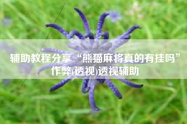 辅助教程分享“熊猫麻将真的有挂吗	”作弊(透视)透视辅助