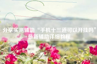 分享实测辅助“手机十三道可以开挂吗	”最新辅助详细教程