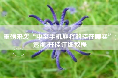 重磅来袭“中至手机麻将的挂在哪买”(透视)开挂详细教程