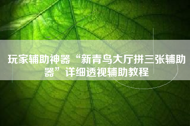 玩家辅助神器“新青鸟大厅拼三张辅助器”详细透视辅助教程