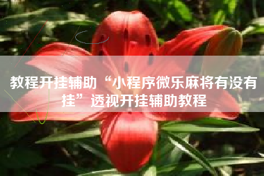 教程开挂辅助“小程序微乐麻将有没有挂”透视开挂辅助教程