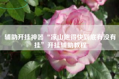 辅助开挂神器“凉山跑得快到底有没有挂”开挂辅助教程