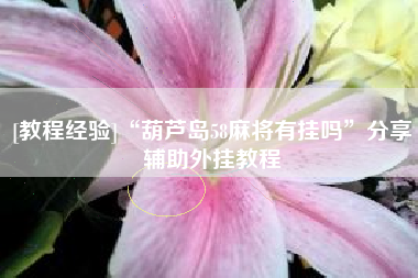 [教程经验]“葫芦岛58麻将有挂吗	”分享辅助外挂教程