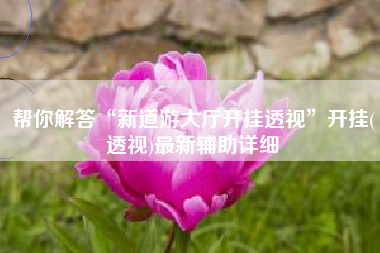 帮你解答“新道游大厅开挂透视	”开挂(透视)最新辅助详细