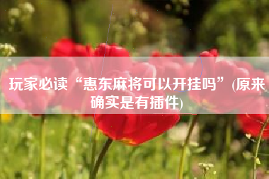 玩家必读“惠东麻将可以开挂吗	”(原来确实是有插件)