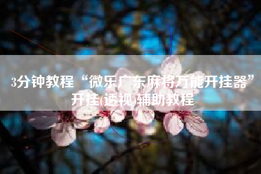 3分钟教程“微乐广东麻将万能开挂器”开挂(透视)辅助教程